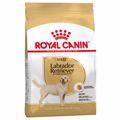 ROYAL CANIN XIRA TROFI SKuLOu LABRADOR 3KG